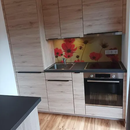 Haus Zum Wilden Kaiser Lejlighed *